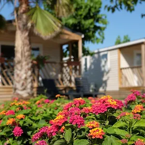 Camping Camping El Pinar